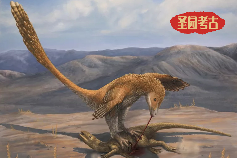 跟着恐龙考古模型厂家来认识侏罗纪世界真正明星恐龙-恐爪龙
