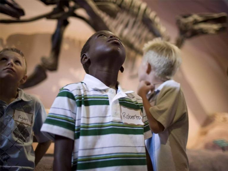 恐龙博物馆里的男孩