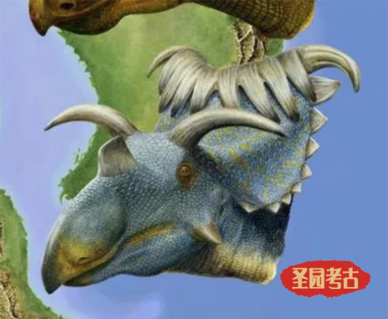 恐龙考古模型