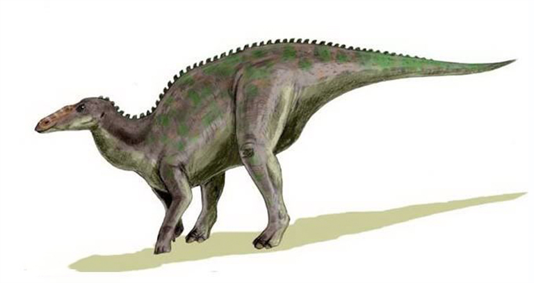 恐龙考古科普