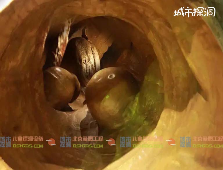 城市探洞.jpg 城市探洞